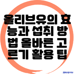 올리브유의 효능과 섭취 방법 올바른 고르기 및 활용 팁